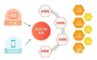 软件开发与网络技术服务的全面分享