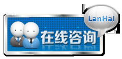 专业网络技术服务领航者——蓝海网络公司